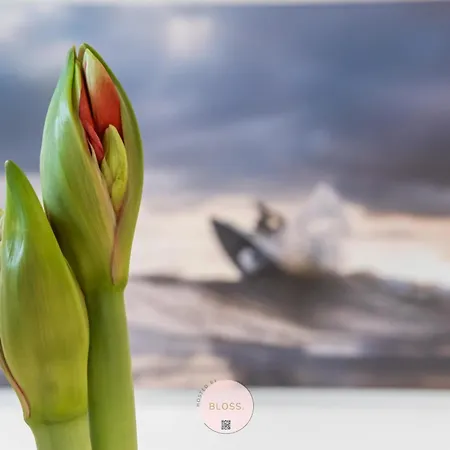 High Tides By Bloss - Duplex With Garage Apartment Knokke-Heist